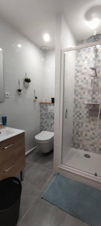 Hyper Centre-Le Regratterie-Wifi Apartment Poitiers Ngoại thất bức ảnh