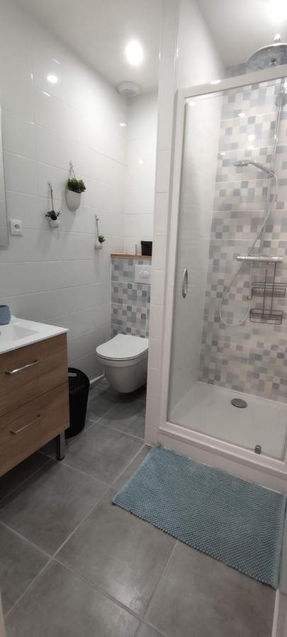 Hyper Centre-Le Regratterie-Wifi Apartment Poitiers Ngoại thất bức ảnh